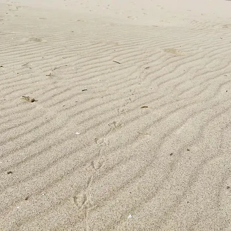 Appartement Elegance Z Basenem- Baltic Apartments-sannel For Rent *