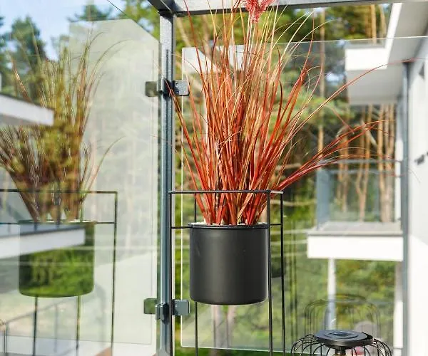 Elegance Z Basenem- Baltic Apartments-sannel For Rent Pobierowo