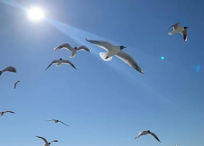 Appartement Elegance Z Basenem- Baltic Apartments-sannel For Rent *