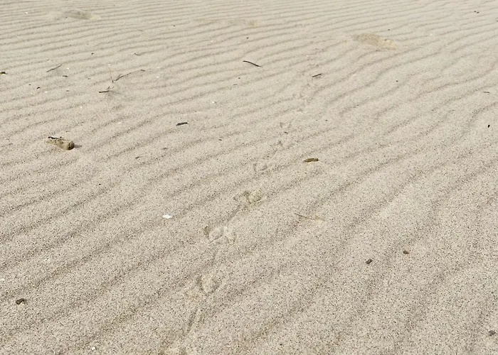 Appartement Elegance Z Basenem- Baltic Apartments-sannel For Rent *